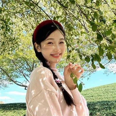 虎尾兰之梦 海报