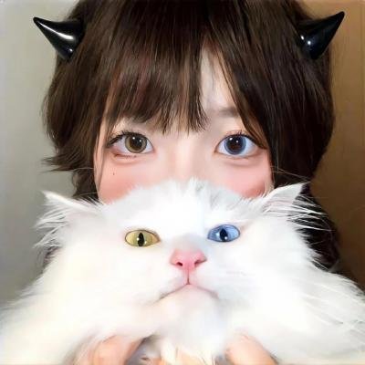 狐狸禁猎期 海报